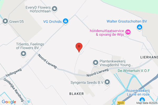 Firma A. Paauwe En Zoon