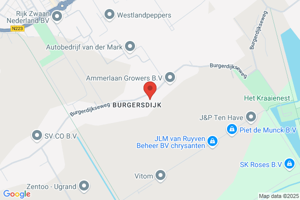 Groen, Gebrs
