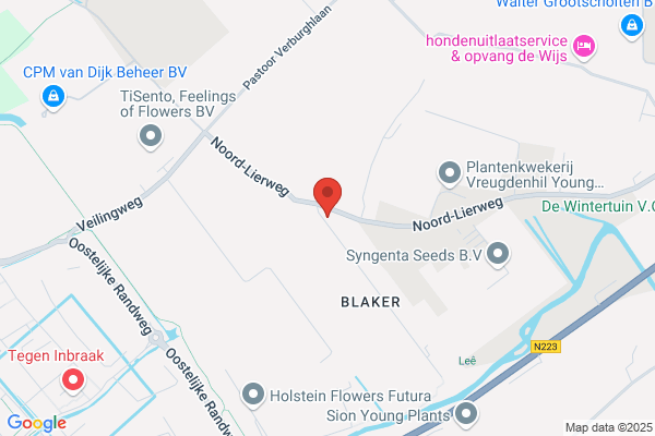 Bijl