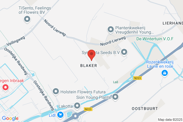Berg, Ben Van Den