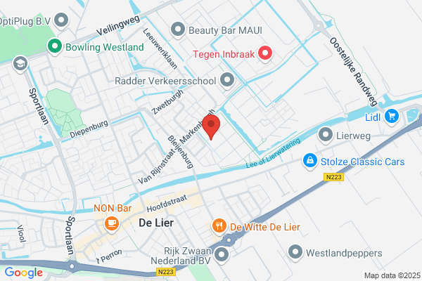 Reisburo Van Staalduinen Bv