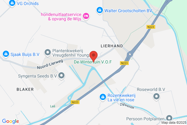 Van Den Bos -Vd Marel
