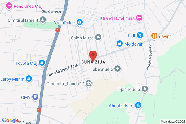 Buna Ziua Kinderen In Roemenië, Sticht