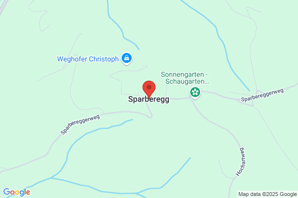 Spaarbelegger, De