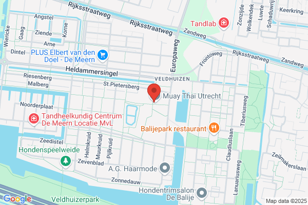 Veldmuis, De