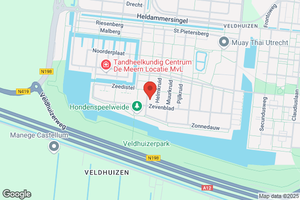 Verdelgingsonderneming Nemurain