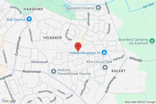 Rikon