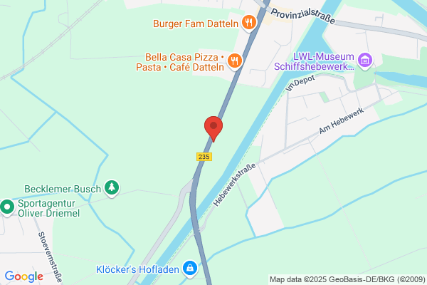Royal Dutch Bully