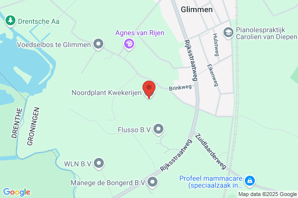 Bonte Hoek Kwekerijen Vof