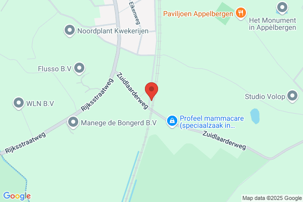Date, Stichting
