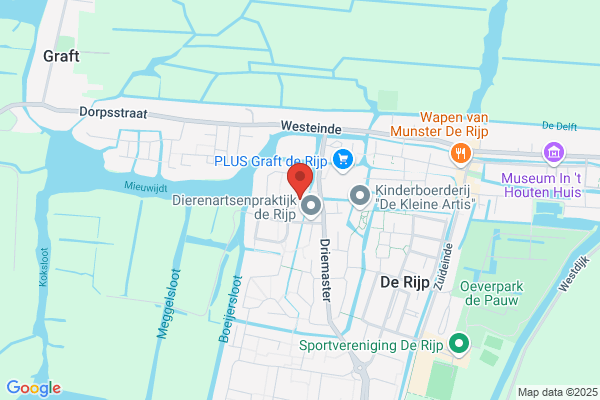 Studio Putto 2 Digitale Tekst- En Beeldverwerking