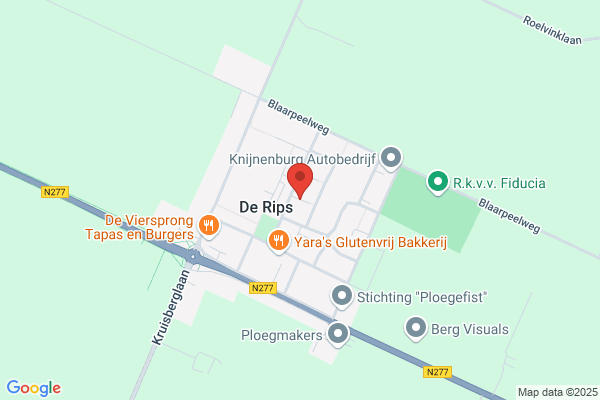 Ripse Trouwautoservice Rts