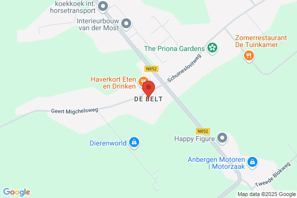 Belt, Van Den