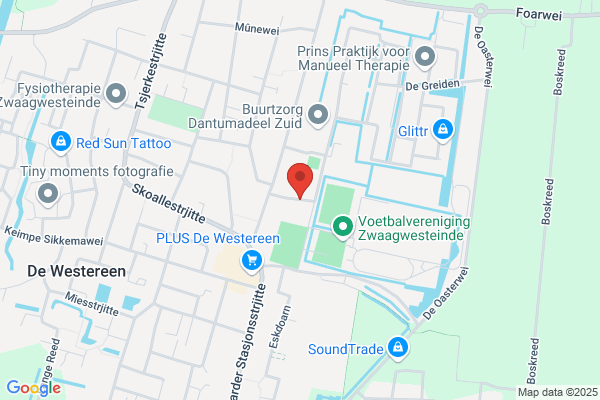 Mensendieck Oefentherapie E Leenman & K Stellingwerf