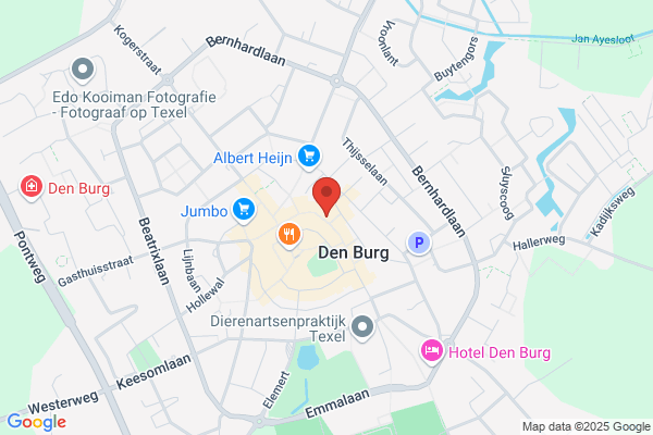 Action Den Burg
