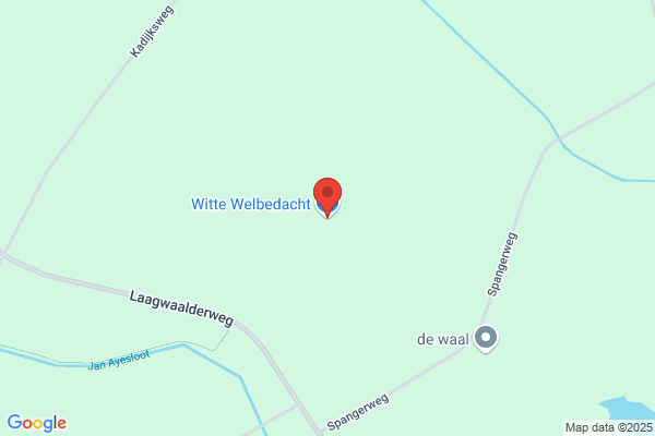 Wit, De