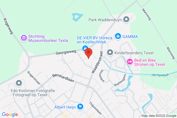 CVI Texel