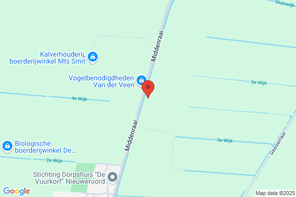 Persoonlijke groei en ontwikkeling