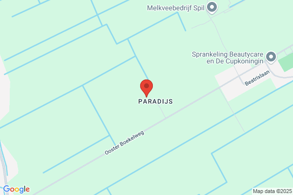 Firma Th. Op Den Kelder En Zonen