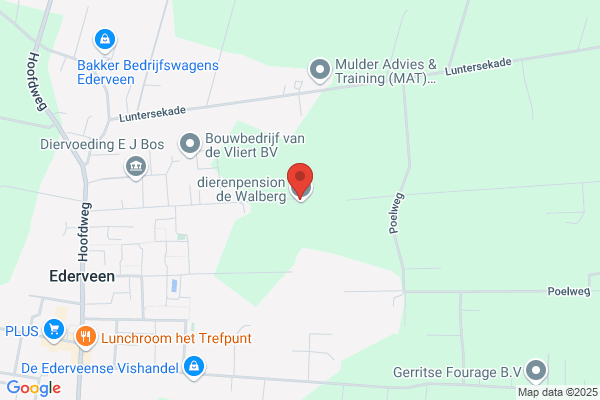Rietdekkersbedrijf Poland