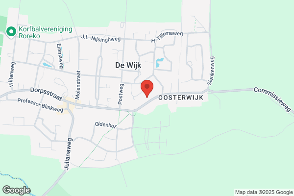 Jong R de