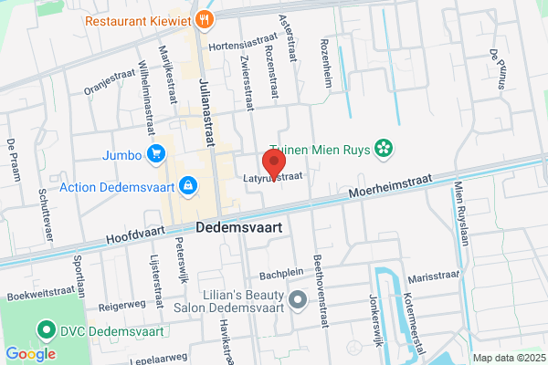 Dviesburo Mens En Organisatie Van Engen