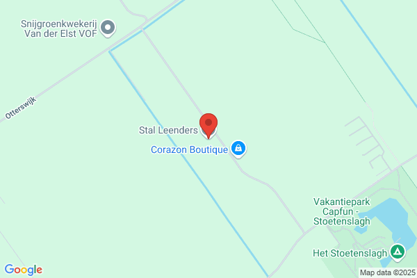 Stal Leenders
