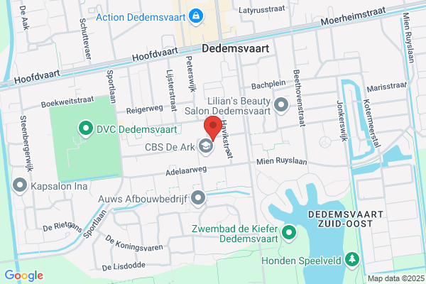 Tafeltennis Dedemsvaart Ac