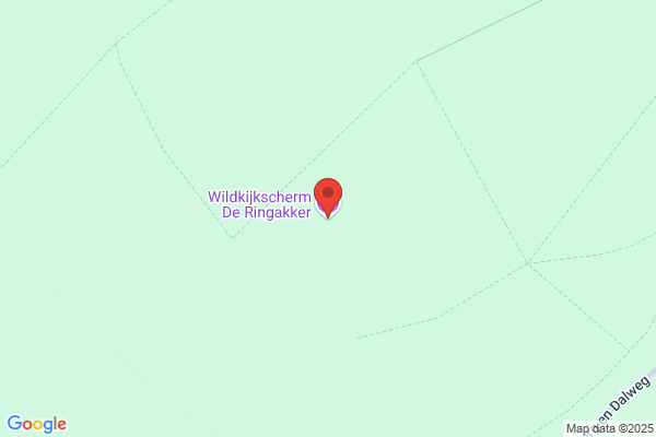 Wildrust, De