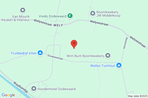 Rietdekkersbedrijf Singer