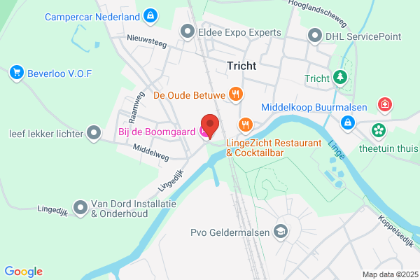 Kapsalon Ben van den Bosch