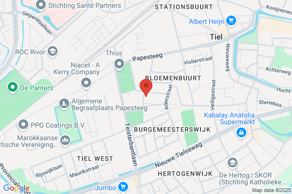 Borg Schilderwerken