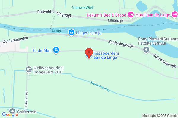Lingekaas
