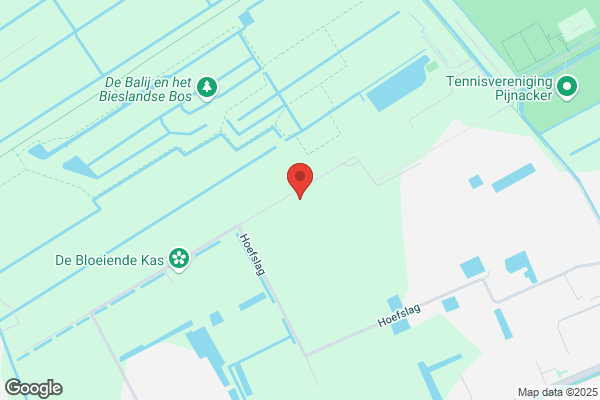 Bergh Rietdekkers BV Van den
