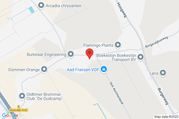 Keijzer & Van Elst Kwekerij Bv