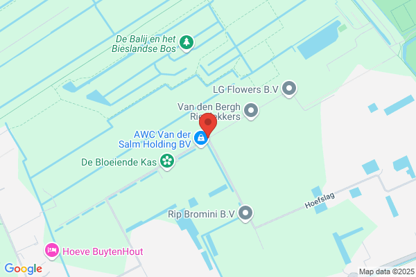 L.J.M. Van Den Nouweland
