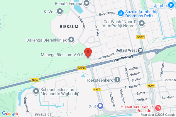 Manege Stalhouderij Biessum