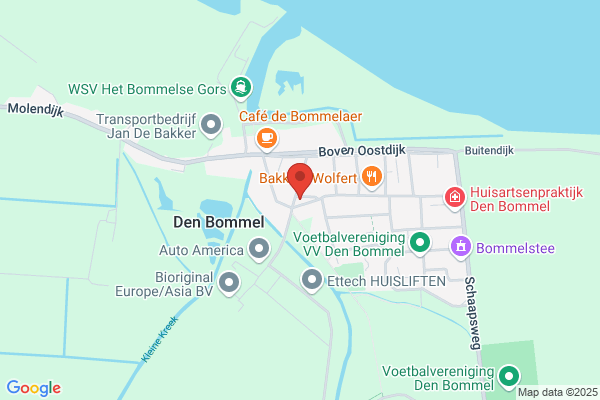 Beeldbuijs Kameleon