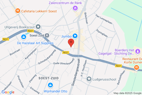 Synthese Rhenen Bv