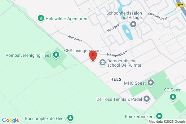 Insingerschool