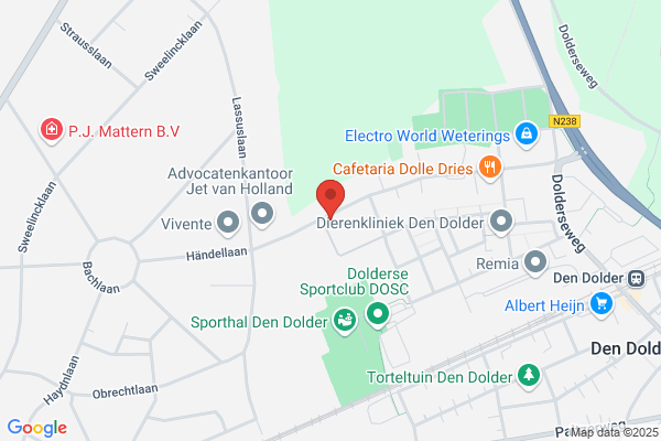 Ongering, Management & Creativiteit