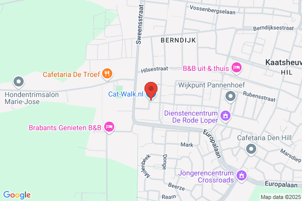 Kats & Waalwijk