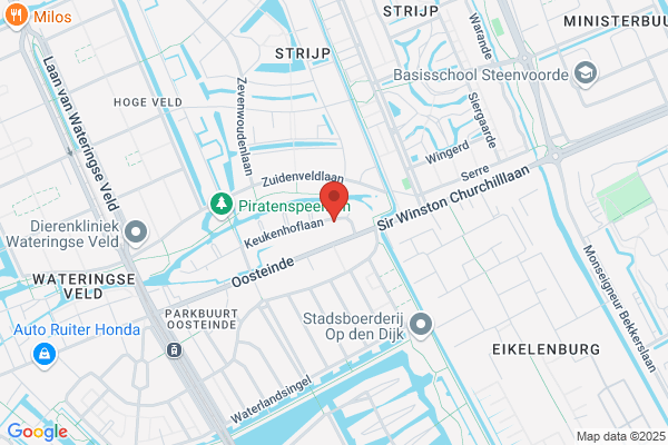 Lagendijk Int