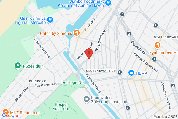 Dwarsfluitles Den Haag - Berdine van Bemmel