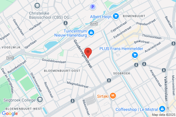 Domino's Pizza Den Haag Goudenregenplein