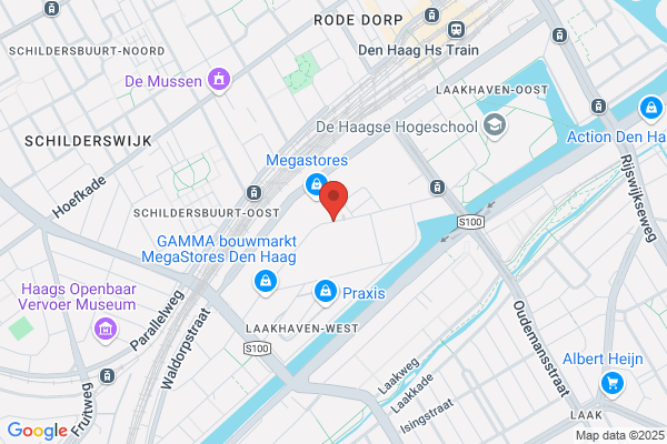 Dolfijn