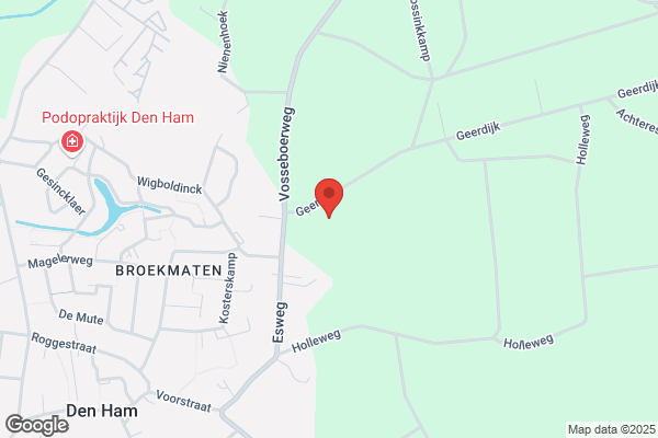 Weideman Bloem & Groen