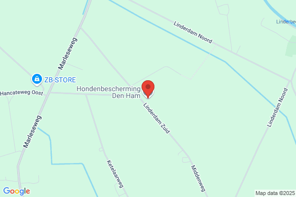 Hondenpension Besthmenertol