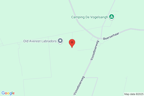 Rietdekkersbedrijf Van der Vegt