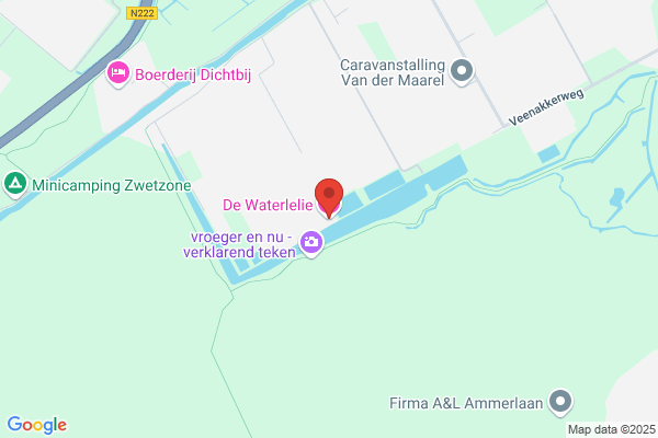 Witte Lelie, De